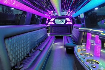 Olathe Limo Interior